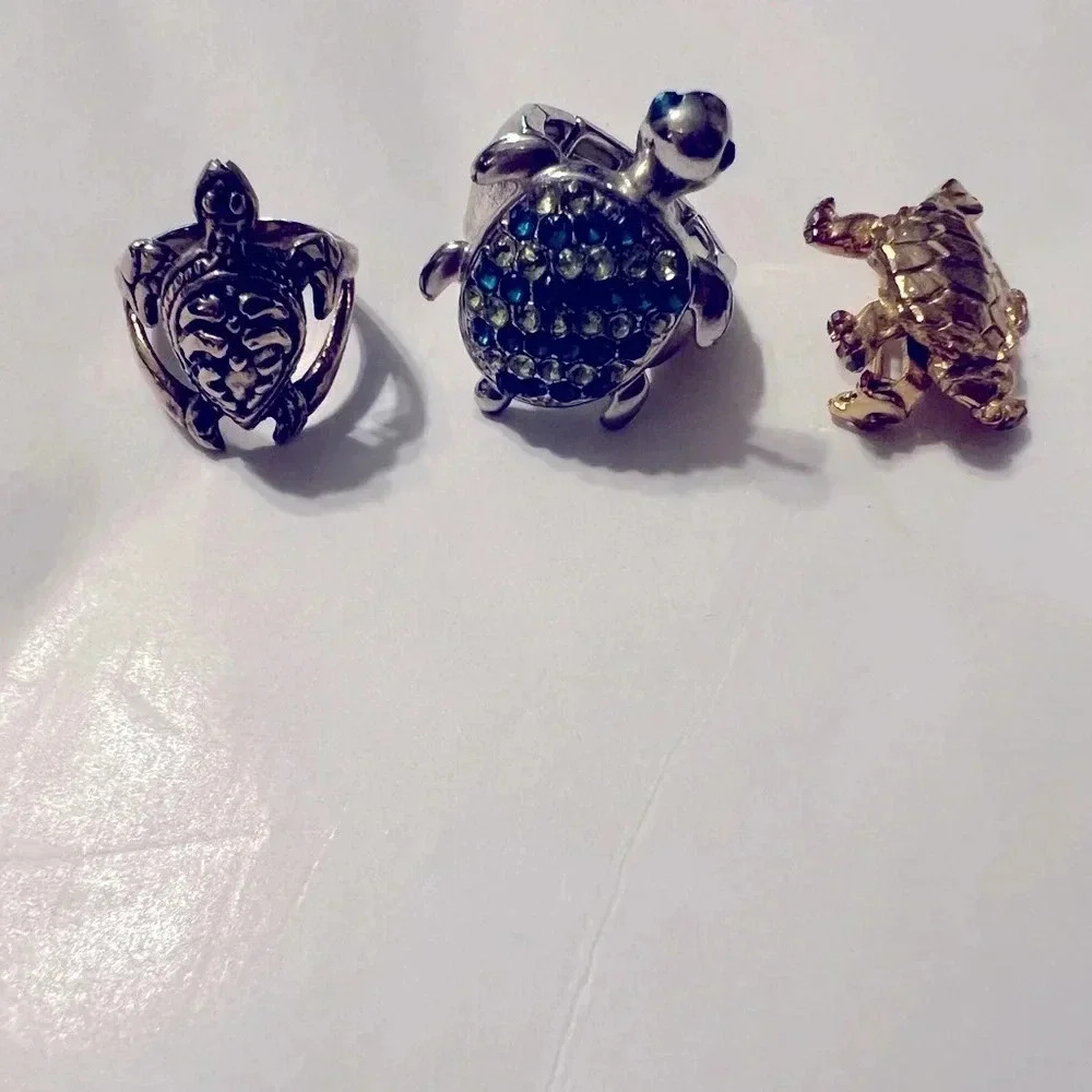 Bundle of rings and a pin